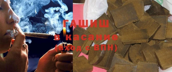 индика Дмитров