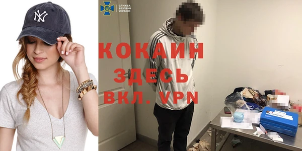 индика Дмитров