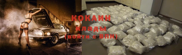 индика Дмитров