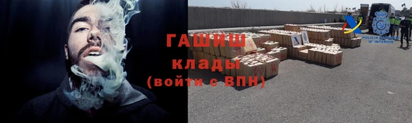 индика Дмитров