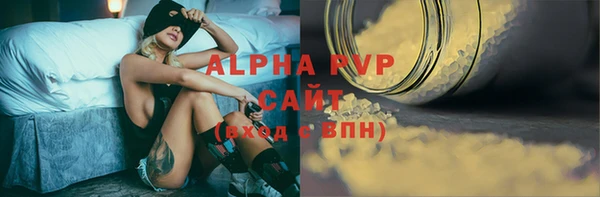 индика Дмитров