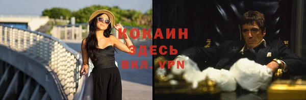 дживик Дмитровск