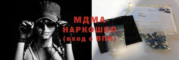 индика Дмитров