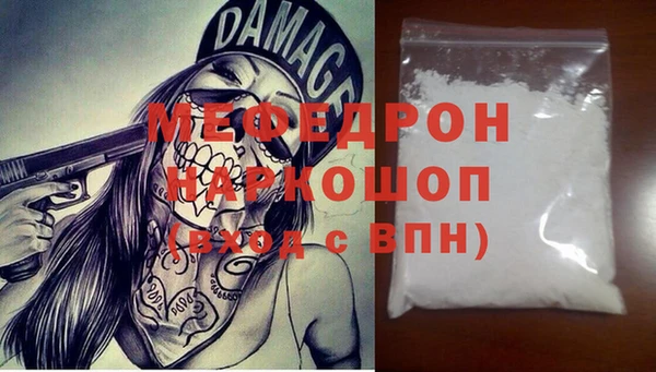 индика Дмитров