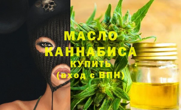 индика Дмитров