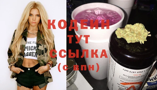 индика Дмитров