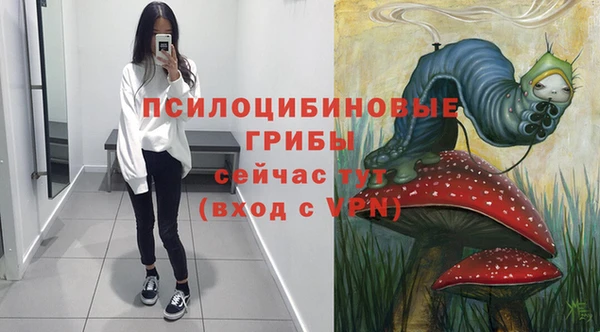 индика Дмитров