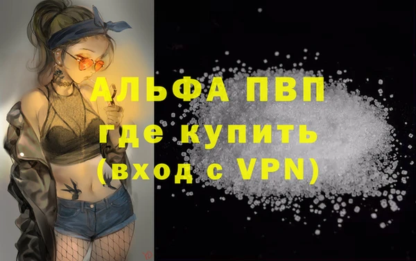 индика Дмитров