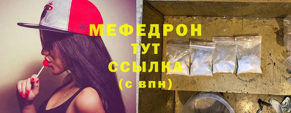 индика Дмитров