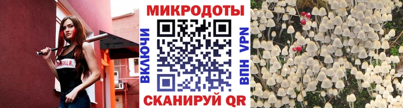 Галлюциногенные грибы мицелий  Купить где  Приволжский 